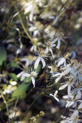 Similar image 5560183