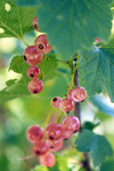 Similar image 5560184