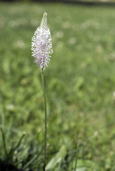 Similar image 5560185