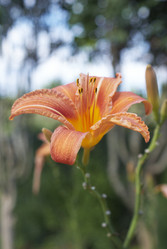 Similar image 5560186