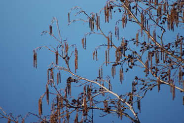 Similar image 5560187