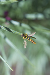 Similar image 5560188