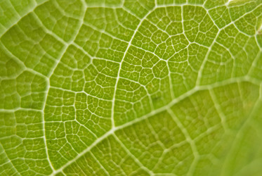 Similar image 5560199