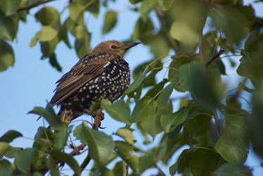 Similar image 5560200