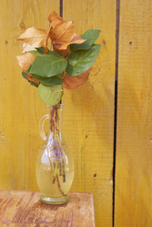 Similar image 5560202