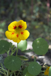 Similar image 5560203