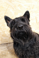 Similar image 5560206