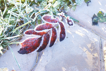 Similar image 5560208