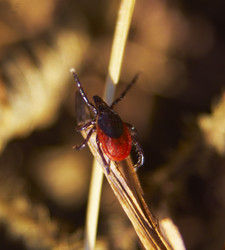 Similar image 5560210