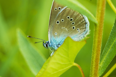 Similar image 5560212