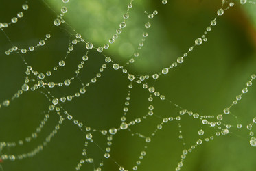 Similar image 5560213