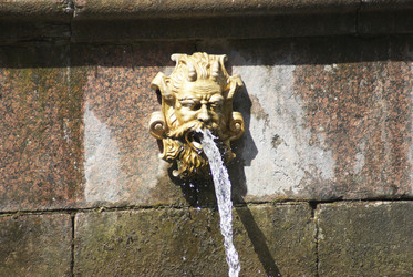 Similar image 5560214