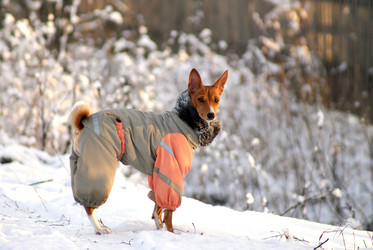 Similar image 5560219