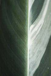 Similar image 5560223