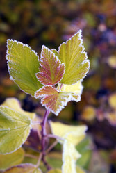 Similar image 5560226