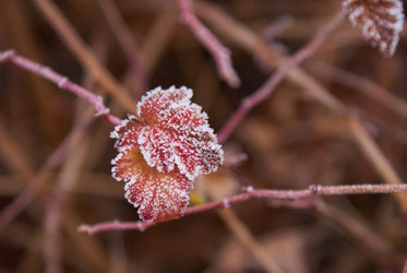 Similar image 5560227