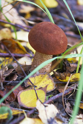 Similar image 5560231