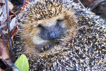 Similar image 5560233