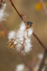 Similar image 5560234