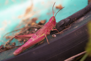 Similar image 5560235