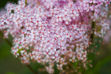 Similar image 5560238