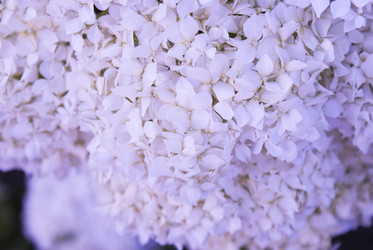 Similar image 5560239