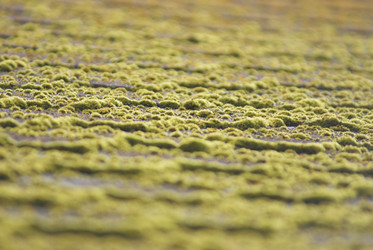 Similar image 5560243