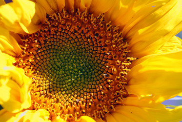 Similar image 5560244