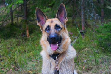 Similar image 5560245