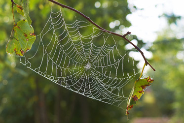 Similar image 5560246