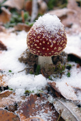 Similar image 5560248