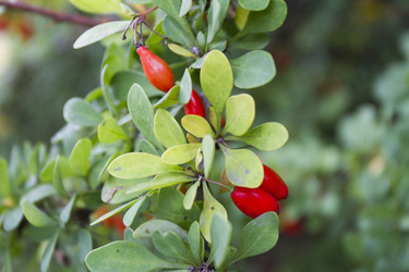 Similar image 5560251