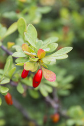 Similar image 5560253