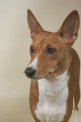 Similar image 5560254