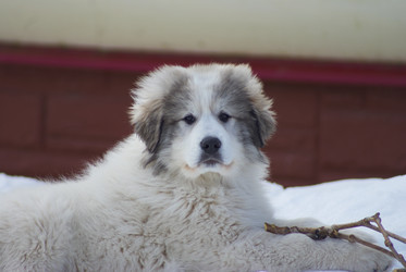 Similar image 5560256