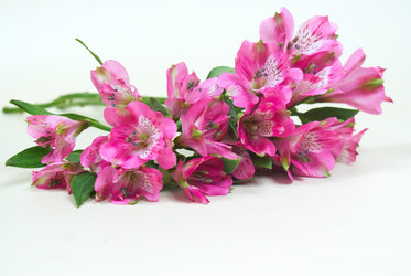 Similar image 5560260