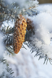 Similar image 5560261