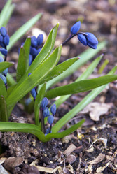 Similar image 5560264