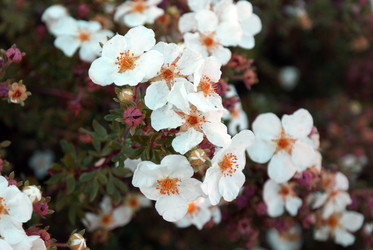 Similar image 5560265