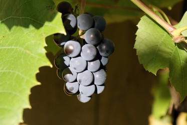 Similar image 5560266