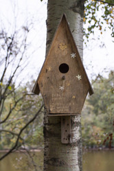 Similar image 5560269