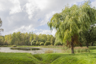 Similar image 5560270