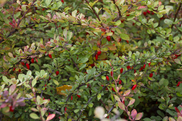 Similar image 5560273