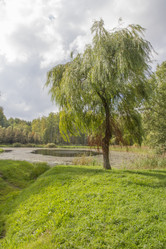 Similar image 5560278