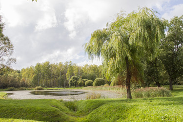 Similar image 5560289