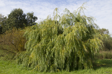 Similar image 5560290