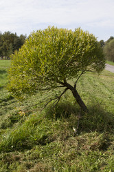 Similar image 5560292