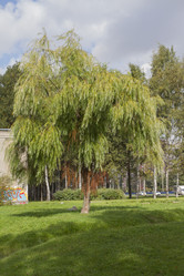 Similar image 5560314