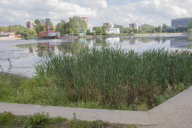 Similar image 5560323