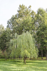 Similar image 5560369